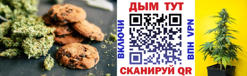 Canna-Cookies марихуана  Могоча 