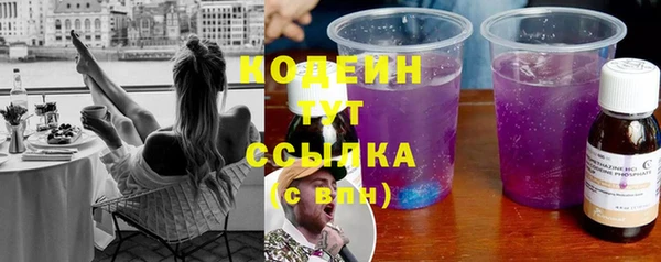 твердый Краснослободск