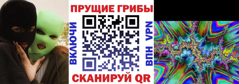 Галлюциногенные грибы ЛСД  mega ССЫЛКА  Могоча 